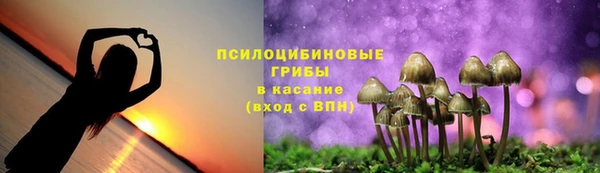 ECSTASY Алексеевка