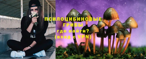 гидра Алзамай