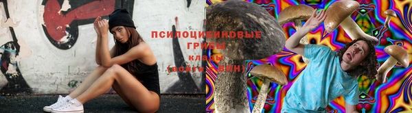 гидра Алзамай