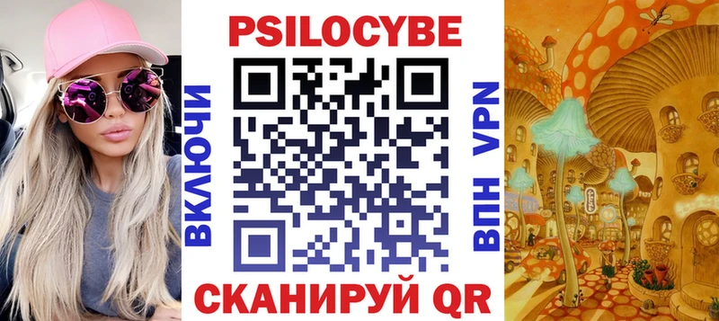 Галлюциногенные грибы Psilocybe  купить закладку  Шатура 