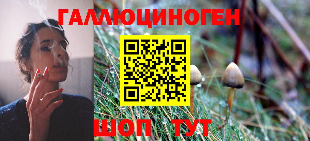 Шатура  Псилоцибиновые грибы GOLDEN TEACHER  Вход с VPN  Псилоцибиновые грибы MAGIC MUSHROOMS 